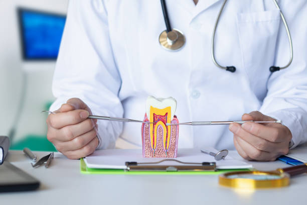Best Emergency Dental Services for Seniors in Overton, TX